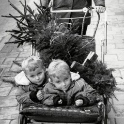 Queridos Reyes Magos