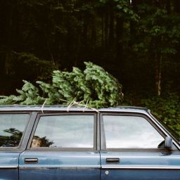 Querido Diciembre…