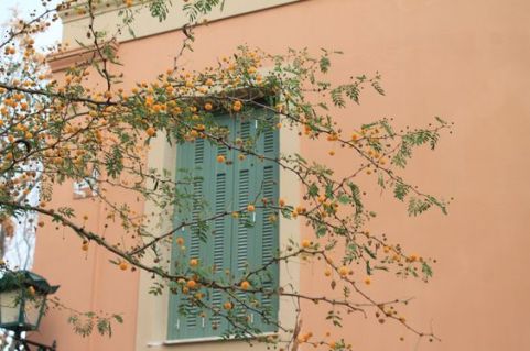 f33c90560c635e4da133bf1d2c70bee8