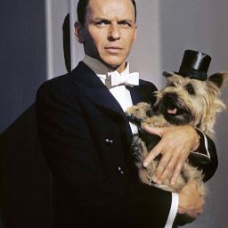 Todos los propósitos que caben en ti